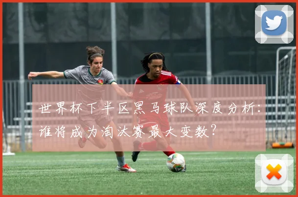 世界杯下半区黑马球队深度分析:谁将成为淘汰赛最大变数?